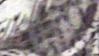 Step mom close up handjob step son dick without argue