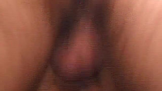 All the Bitches in Heat