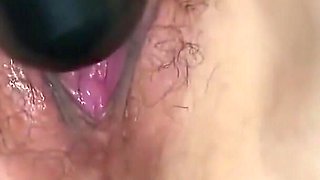 Asian Angel 24031