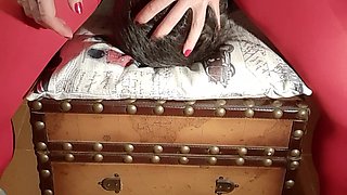 My Facesitting My Slave Wrapped on the Bench! 4K!