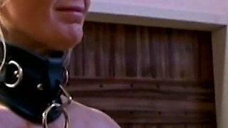 BDSM - Leash, Collar, Paddle, and Tears of True Submission