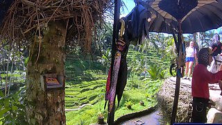 Big booty Thai girlfriend garden sex