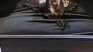 Perfect Bobs Wife so Horny Alone in Home While Cuckold Is Working
