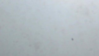 Having Fun with Italian Bubble Butt in a Nude Beach