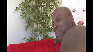 Perfect Kilometric Black Cock
