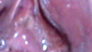 Close up Pis Compilatie