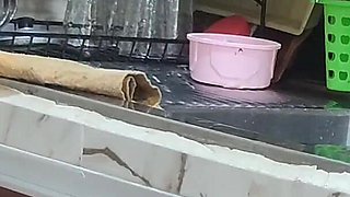 Hot Filam Sex Arabic Salma Arab
