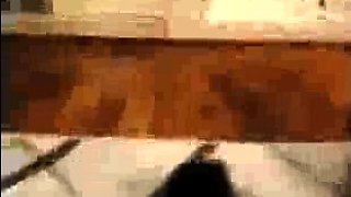 cuckold caught cheating BBW riding a black cock mm