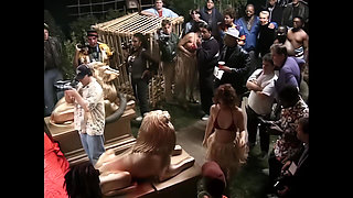 Just Another Crazy Orgy