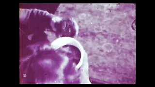 Vintage porn retro erotic theatre - affair at the bar