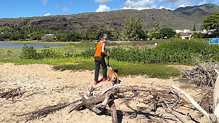 Paiko Fishpond, East Oahu, Hawaii