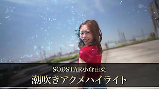 x1x8C679DE7A03C01934A