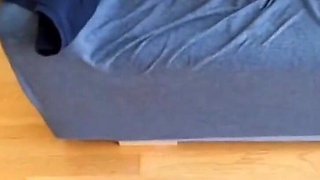 Sexy Teen Enjoys Sucking Monster Cock in POV
