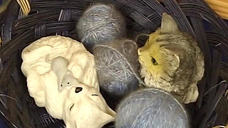 German Amateur Teen Housewife Babe Blonde Fucked