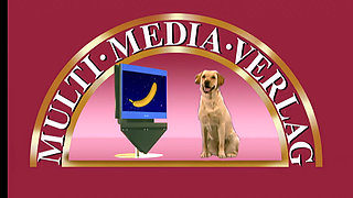 Big Boobs, Big Ass Chicks Getting Wet and Wild Dildo Fucking