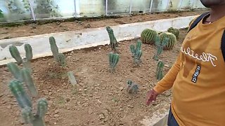 Permi_pooja outdoor park sex with brother-in-law - big natural tits desi bhabhi gets happy and fucks hard