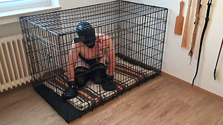 Blindfolded Caged Sissy Slave - Locked Away While Mistress Enjoys Her Lover