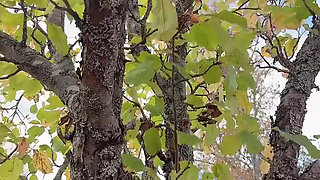 Hana at the Garden and Special Thing Happen