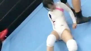 japanese wrestling gym