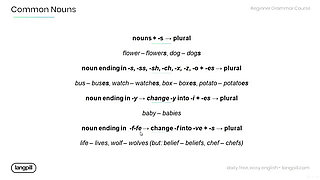 Introduction to Common Nouns in English