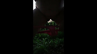 Piss in September
