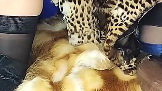 Two Gorgeous Girls Try on Expensive Fur Coats and Boots