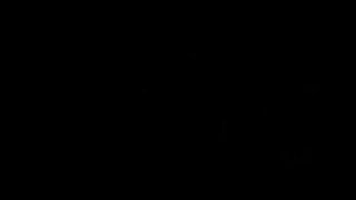 Trailer388