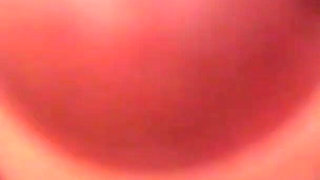 Treesome pantyhose nylon blowjob