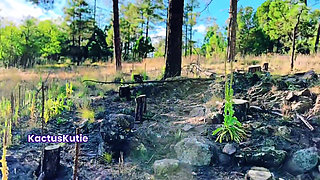 Innocent Nature Guide Pees for Your Cash