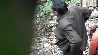 Chinese Daddy Forest 33