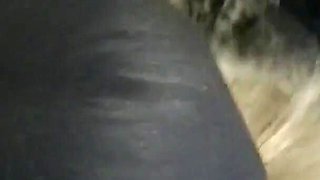 Hooded with Super Stinky Pantyhose and Tied Down Like a Fucking Pig!
