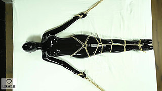 Bound and Vibed