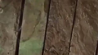 Hot Indian Desi Brother in Law and Sister in Law Hot Sex