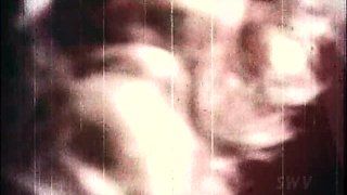 Vintage pornstars bunny bleu ron jeremy blowjob threesome