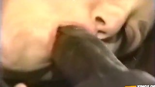 White Chick Rides A Black Dude With Big Dick After Sucking Him Deep On The Bed