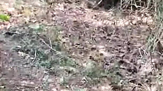 Pissing Mel 1