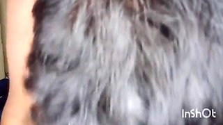 Gorgeous Small Tits Indian Desi Beutiful Wife Fucked By Husband
