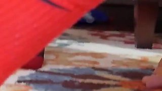 Chubby white slut brings home black to pound her fat pussy