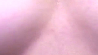 Asian Angel 24618