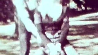 Vintage porn retro erotic theatre my hometown