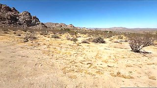 Hayley Davies Fucking In Desert POV sex