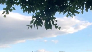 This Was a Beautiful Day to Piss Outside!