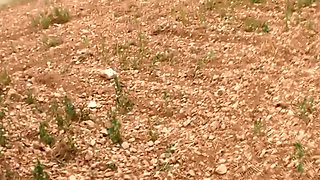 pipé par une garce en promenade