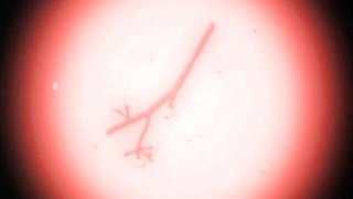 18-25 smut with nice-looking dona from Fuck Me Like A Monster