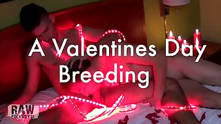 Happy Valentines Day