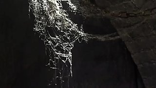 Big Titty Blonde with Amazing Ass Has Group Sex Fun