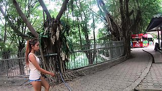 Crocodile feeding and pussy pleasing