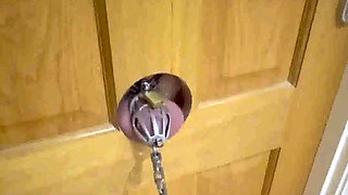 Rod Was Punished Today