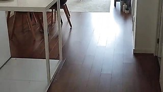 Agent Fucks African in Airbnb Apartment