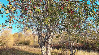 She Open Hairy Pussy in the Car Then Go Outside Piss